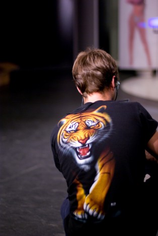 tigre