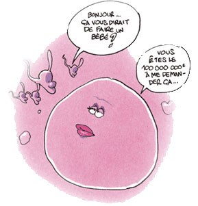 391425_978047667_illustr-ovule_H004643_L