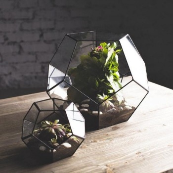 terrarium-etsy