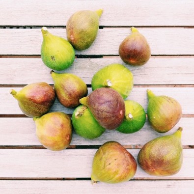 figues-du-jardin