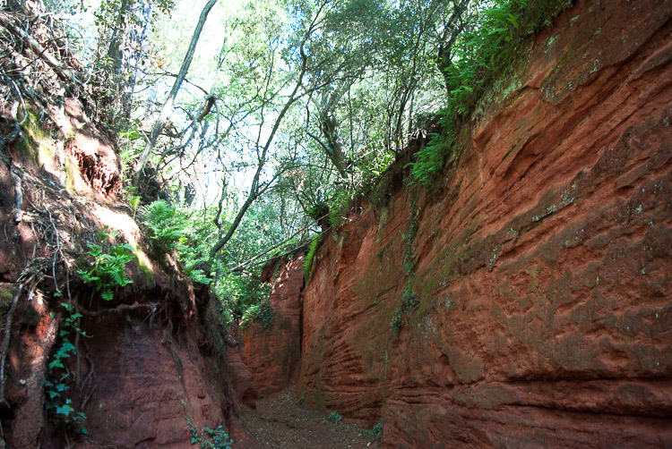 le-paradis-vaucluse