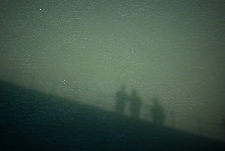 pont-d-avignon-ombres