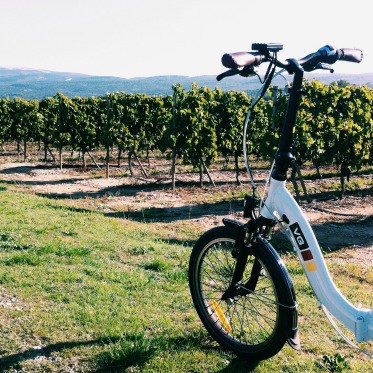 velo- electrique terra-ventoux