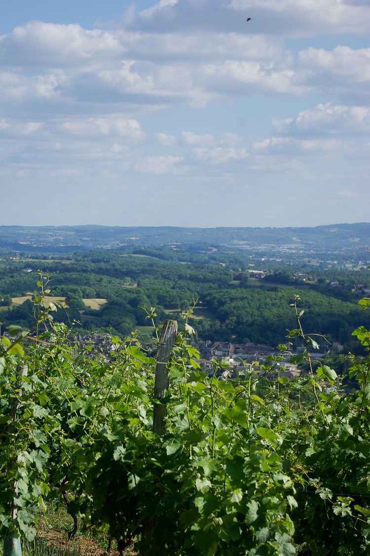 coteaux-du-saillant-Vezeres