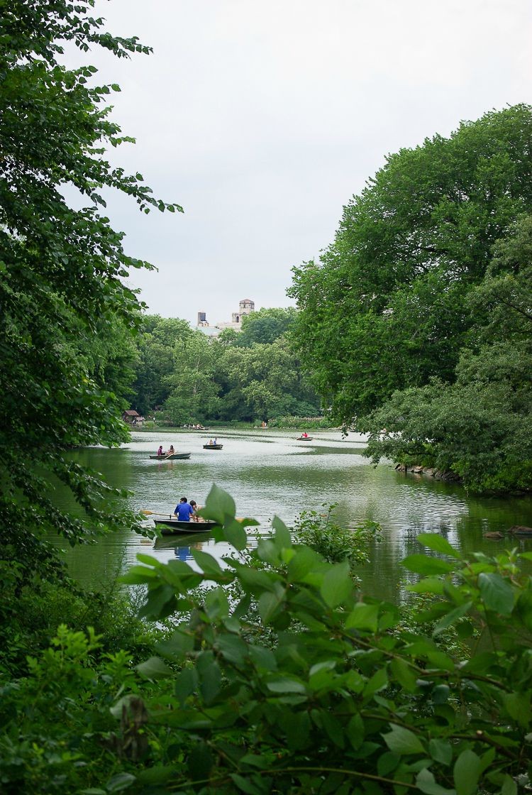 Central-park-barque