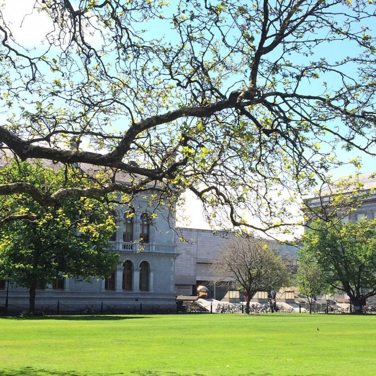 Dublin-trinity-college