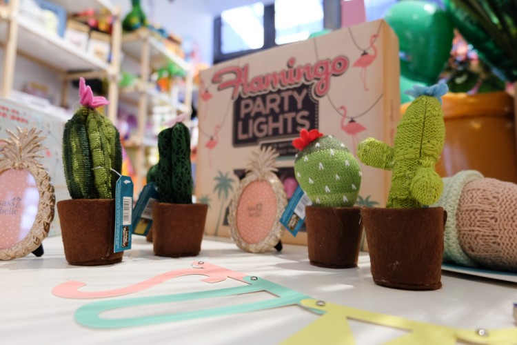 happy-family-liege-cactus-7