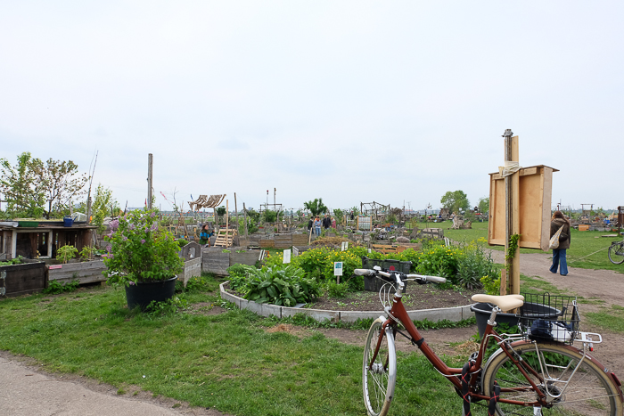 Tempelhof garden