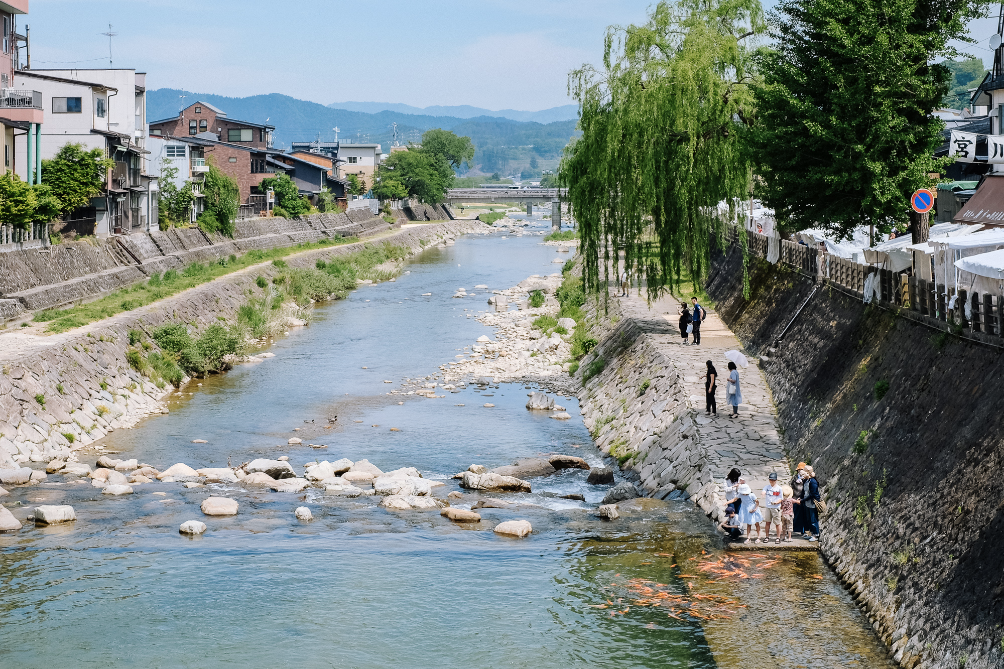 Famille qui nourrit des carpes koi à Takayama