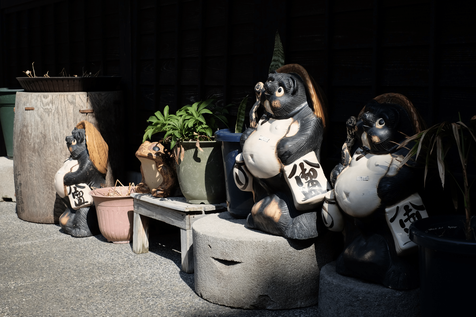 Tanukis à Takayama